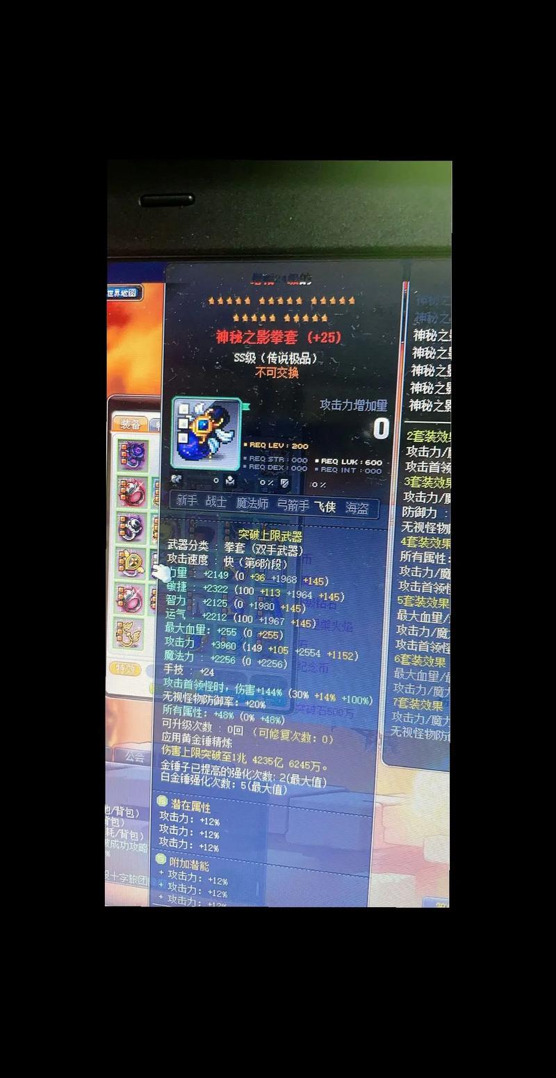  从零开始：冒险岛私服新手指南，带你飞速成长！
